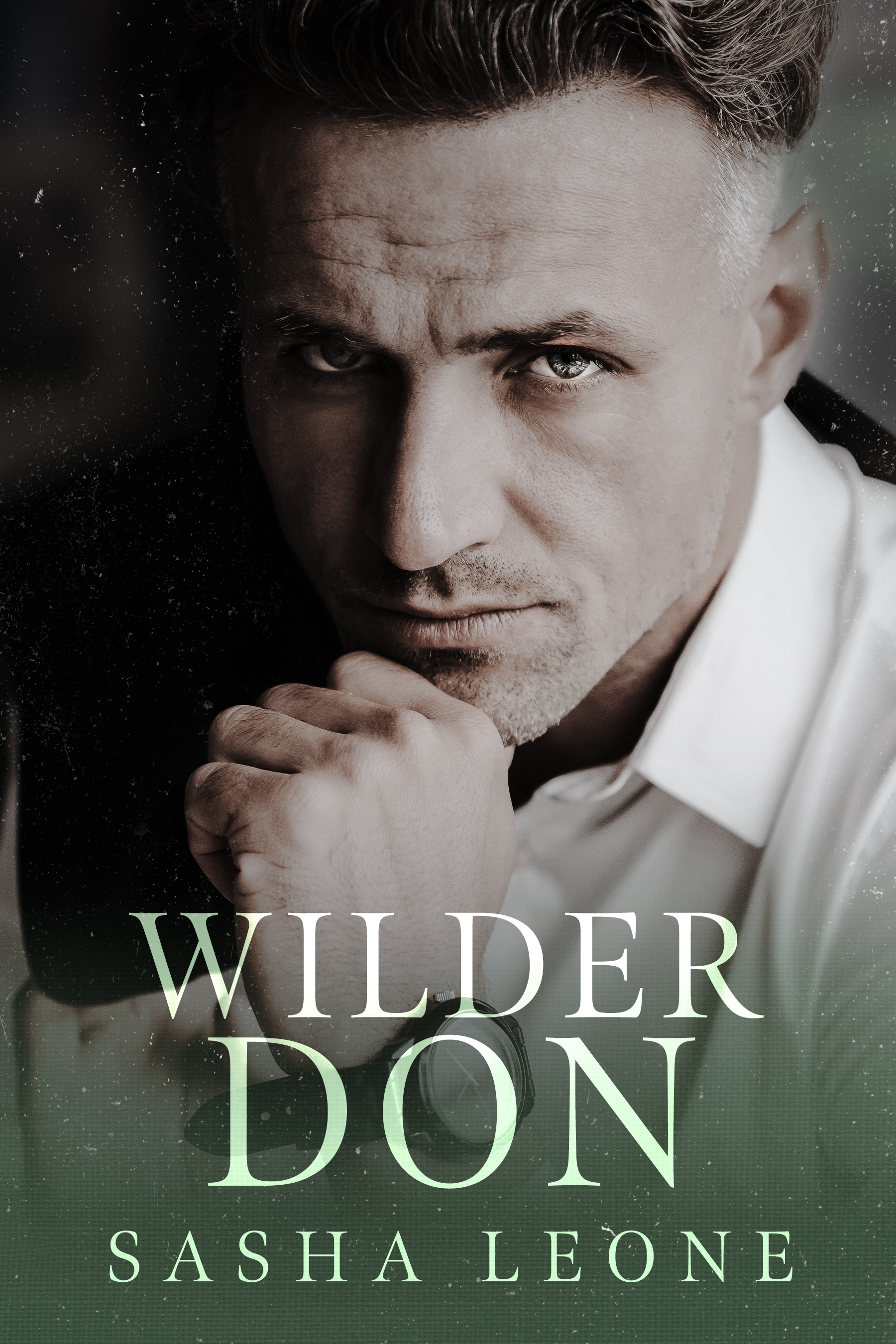 Wilder Don (Brutale Herrschaft 6)